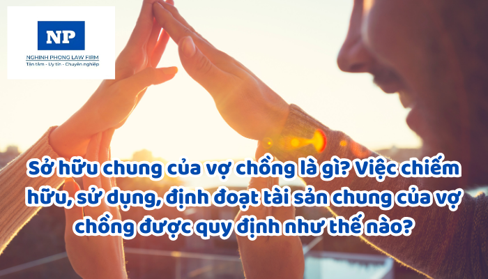 Sở hữu chung của vợ chồng là gì? Việc chiếm hữu, sử dụng, định đoạt tài sản chung của vợ chồng được quy định như thế nào?