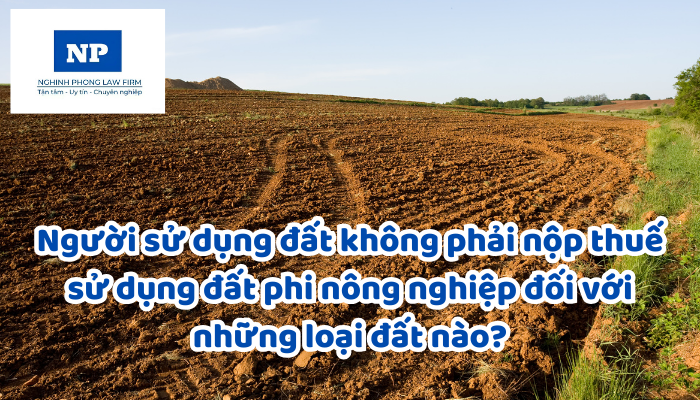 Người sử dụng đất không phải nộp thuế sử dụng đất phi nông nghiệp đối với những loại đất nào?