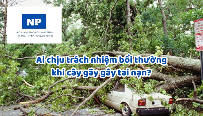 Ai có trách nhiệm bồi thường thiệt hại khi cây xanh dọc vỉa hè đỗ gãy gây tai nạn cho người đi đường?
