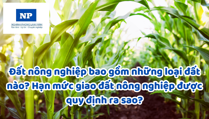 Đất nông nghiệp bao gồm những loại đất nào? Hạn mức giao đất nông nghiệp được quy định ra sao?