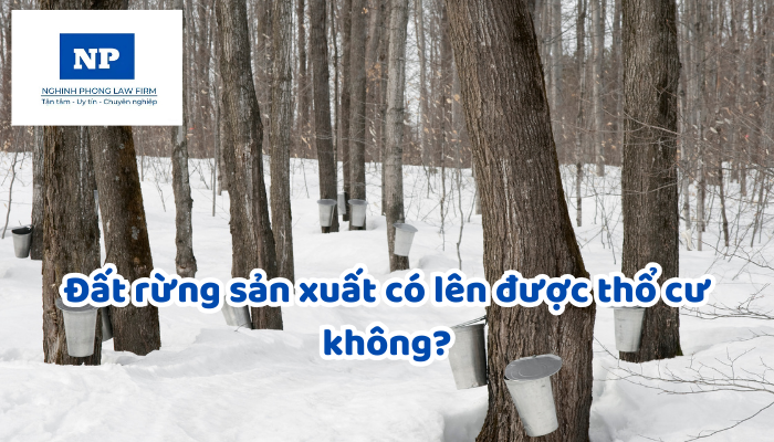Đất rừng sản xuất có lên được thổ cư không?