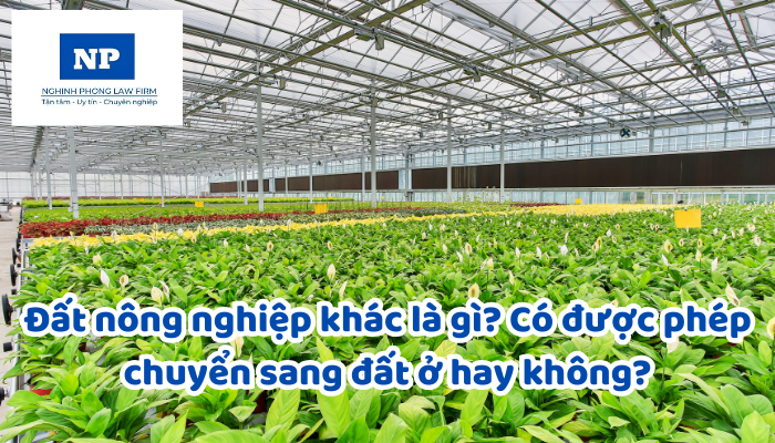 Đất nông nghiệp khác là gì? Có được phép chuyển sang đất ở hay không?