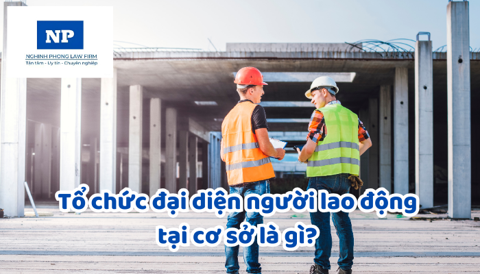 Tổ chức đại diện người lao động tại cơ sở là gì? Quyền thương lượng tập thể của tổ chức đại diện người lao động tại cơ sở trong doanh nghiệp được quy định như thế nào? Các hành vi nào bị nghiêm cấm đối với người sử dụng lao động liên quan đến thành lập, gia nhập và hoạt động của tổ chức đại diện người lao động tại cơ sở?