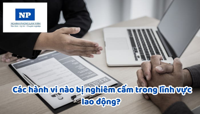 Các hành vi nào bị nghiêm cấm trong lĩnh vực lao động? Mức phạt tiền tối đa trong lĩnh vực lao động là bao nhiêu?