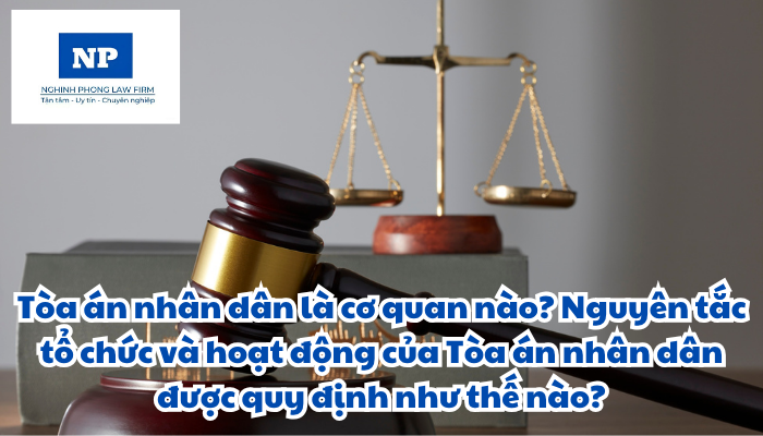 Tòa án nhân dân là cơ quan nào? Nguyên tắc tổ chức và hoạt động của Tòa án nhân dân được quy định như thế nào?