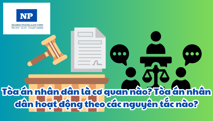 Tòa án nhân dân là cơ quan nào? Tòa án nhân dân hoạt động theo các nguyên tắc nào?