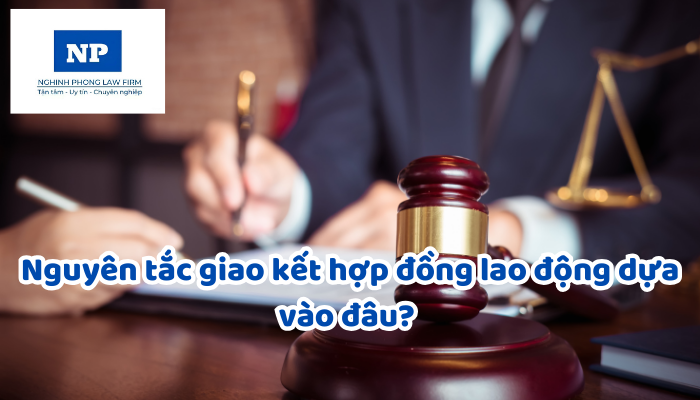 Nguyên tắc giao kết hợp đồng lao động dựa vào đâu? Nghĩa vụ của các bên trong việc cung cấp thông tin ra sao? Người sử dụng lao động không được làm khi giao kết, thực hiện hợp đồng lao động?