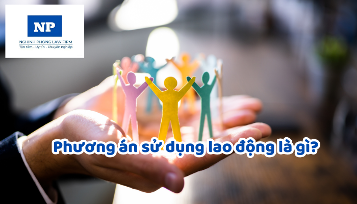 Phương án sử dụng lao động là gì? Phương án sử dụng lao động bao gồm những nội dung gì? Phải xây dựng phương án sử dụng lao động trong những trường hợp nào?
