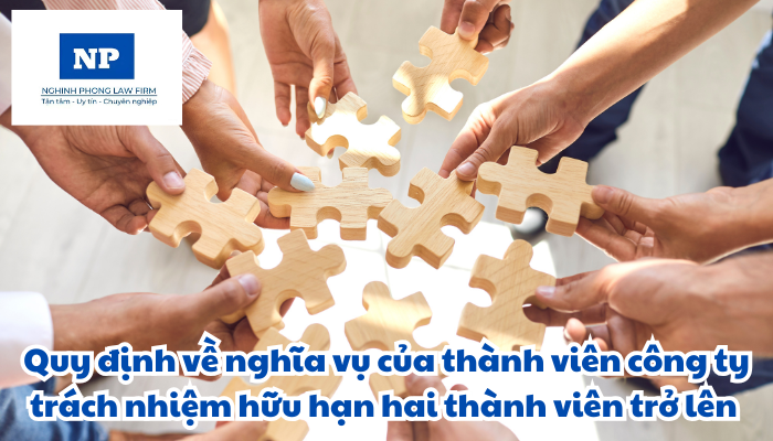 Nghĩa vụ của thành viên công ty trách nhiệm hữu hạn hai thành viên trở lên được quy định như thế nào?