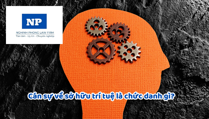 Cán sự về sở hữu trí tuệ là chức danh gì? Cán sự về sở hữu trí tuệ cần có trình độ đào tạo như thế nào?
