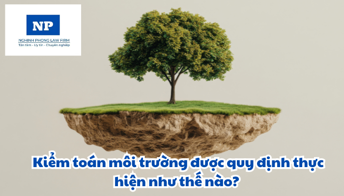 Kiểm toán môi trường được quy định thực hiện như thế nào?
