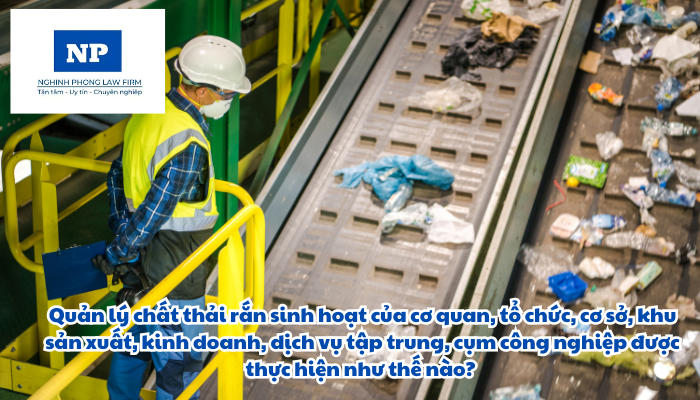 Quản lý chất thải rắn sinh hoạt của cơ quan, tổ chức, cơ sở, khu sản xuất, kinh doanh, dịch vụ tập trung, cụm công nghiệp được thực hiện như thế nào?
