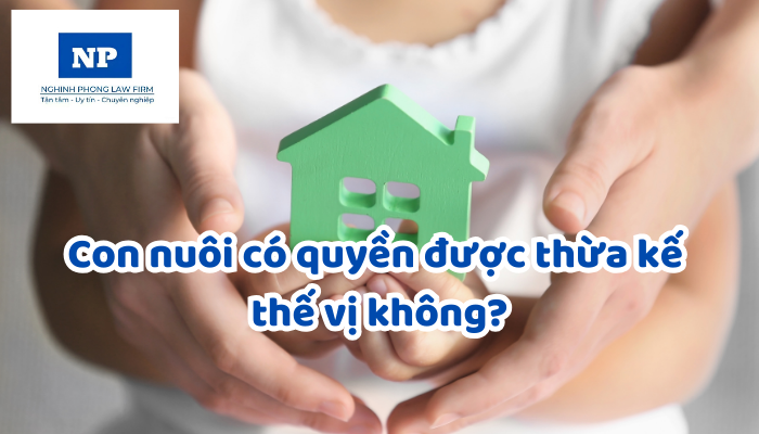 Con nuôi có quyền được thừa kế thế vị không?