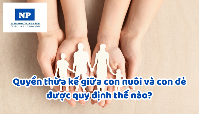 Quyền thừa kế giữa con nuôi và con đẻ được quy định thế nào?