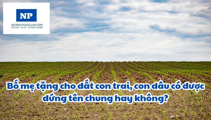 Bố mẹ tặng cho đất con trai, con dâu có được đứng tên chung hay không?