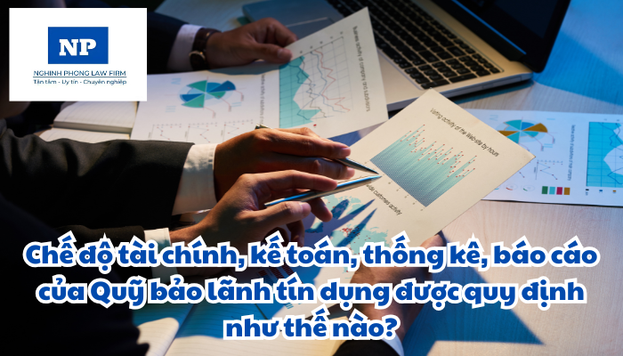 Chế độ tài chính, kế toán, thống kê, báo cáo của Quỹ bảo lãnh tín dụng được quy định như thế nào?