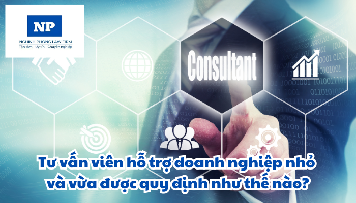 Tư vấn viên hỗ trợ doanh nghiệp nhỏ và vừa được quy định như thế nào?