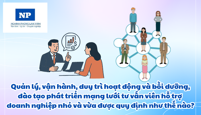 Quản lý, vận hành, duy trì hoạt động của mạng lưới tư vấn viên và bồi dưỡng, đào tạo phát triển mạng lưới tư vấn viên hỗ trợ doanh nghiệp nhỏ và vừa được quy định như thế nào?