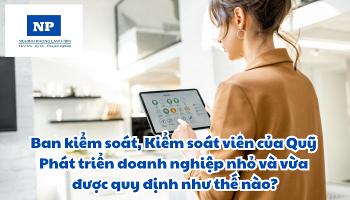 Ban kiểm soát, Kiểm soát viên của Quỹ Phát triển doanh nghiệp nhỏ và vừa được quy định như thế nào?