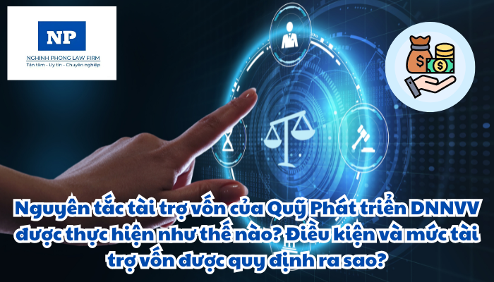 Nguyên tắc tài trợ vốn của Quỹ Phát triển doanh nghiệp nhỏ và vừa được thực hiện như thế nào? Điều kiện và mức tài trợ vốn được quy định ra sao?