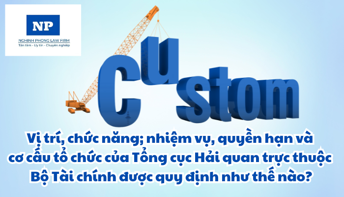 Vị trí, chức năng; nhiệm vụ, quyền hạn và cơ cấu tổ chức của Tổng cục Hải quan trực thuộc Bộ Tài chính được quy định như thế nào?