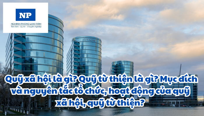 Quỹ xã hội là gì? Quỹ từ thiện là gì? Mục đích và nguyên tắc tổ chức, hoạt động của quỹ xã hội, quỹ từ thiện được quy định như thế nào?