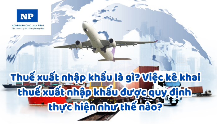 Thuế xuất nhập khẩu là gì? Việc kê khai thuế xuất nhập khẩu được quy định thực hiện như thế nào?