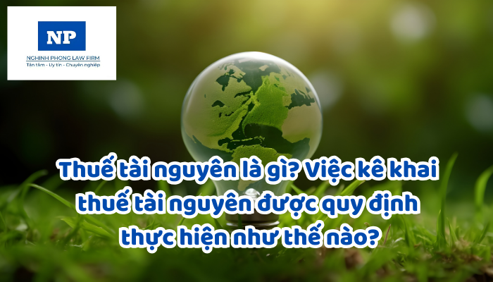 Thuế tài nguyên là gì? Việc kê khai thuế tài nguyên được quy định thực hiện như thế nào?