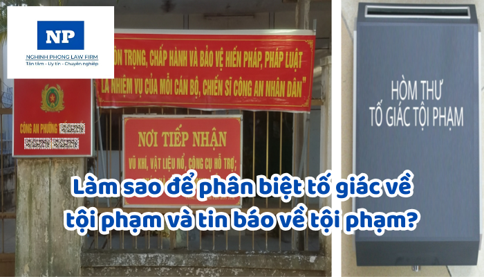 Làm sao để phân biệt tố giác về tội phạm và tin báo về tội phạm?