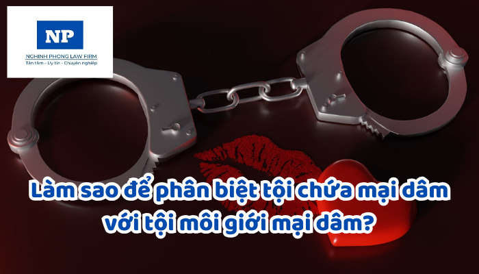 Làm sao để phân biệt tội chứa mại dâm với tội môi giới mại dâm?