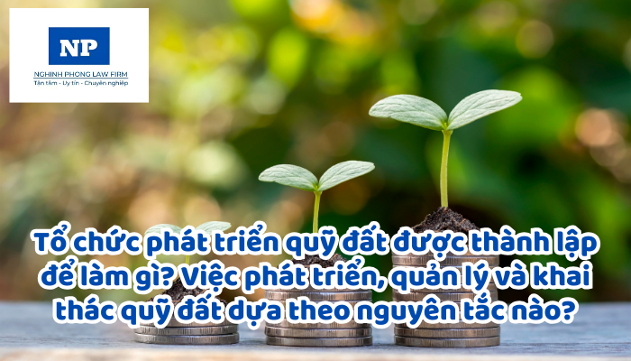 Tổ chức phát triển quỹ đất được thành lập để làm gì? Việc phát triển, quản lý và khai thác quỹ đất dựa theo nguyên tắc nào?