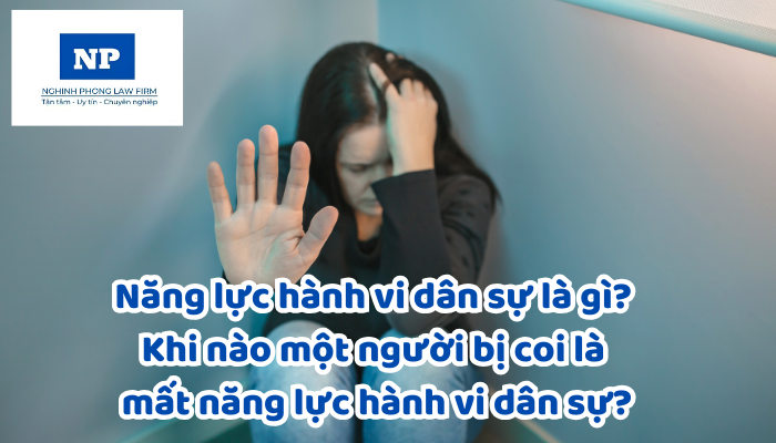 Năng lực hành vi dân sự là gì? Khi nào một người bị coi là mất năng lực hành vi dân sự?