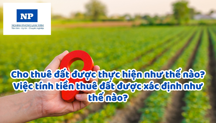 Cho thuê đất được thực hiện như thế nào? Việc tính tiền thuê đất được xác định như thế nào?