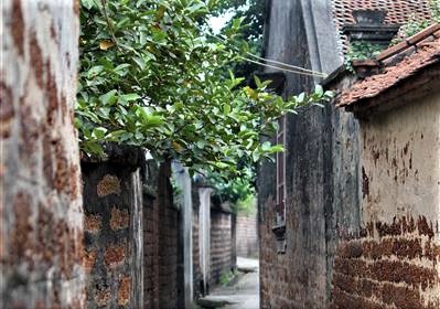 Hoàn thiện quy định về căn cứ xác lập di sản dùng vào việc thờ cúng