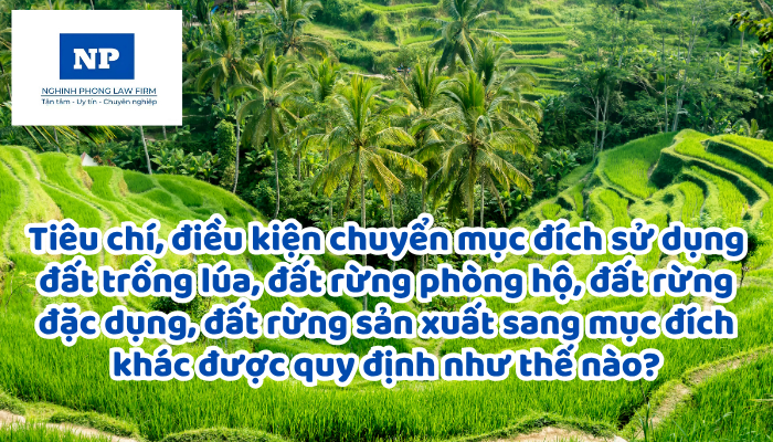 Tiêu chí, điều kiện chuyển mục đích sử dụng đất trồng lúa, đất rừng phòng hộ, đất rừng đặc dụng, đất rừng sản xuất sang mục đích khác được quy định như thế nào?