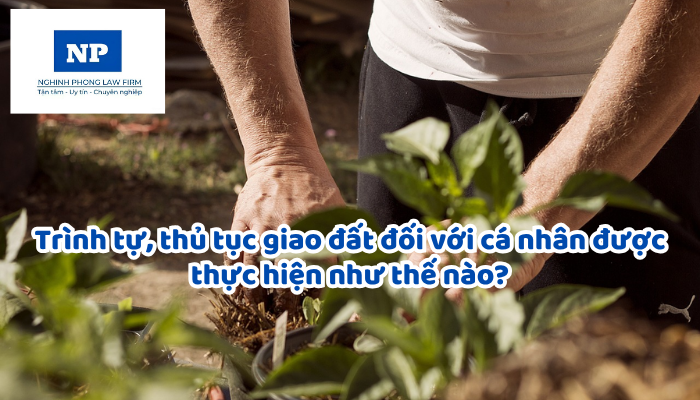 Trình tự, thủ tục giao đất đối với cá nhân được thực hiện như thế nào?