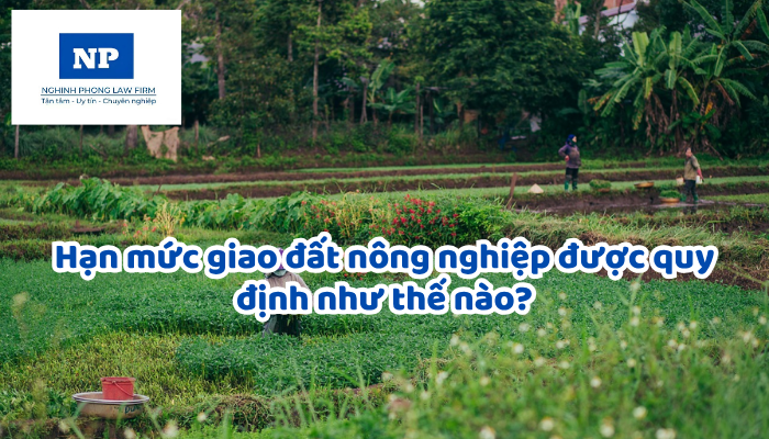 Hạn mức giao đất nông nghiệp được quy định như thế nào?