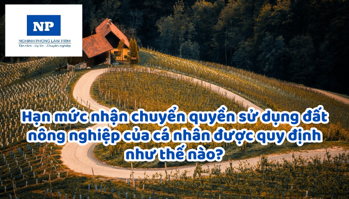 Hạn mức nhận chuyển quyền sử dụng đất nông nghiệp của cá nhân được quy định như thế nào?