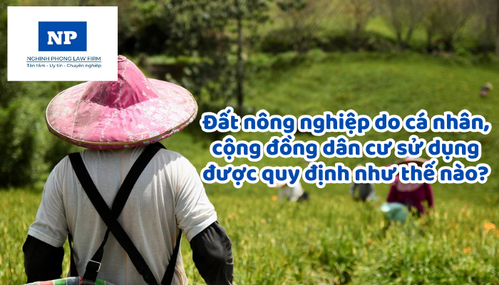 Đất nông nghiệp do cá nhân, cộng đồng dân cư sử dụng được quy định như thế nào?