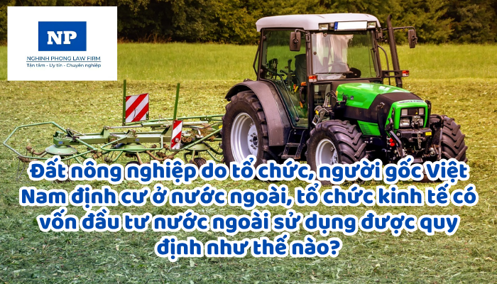 Đất nông nghiệp do tổ chức, người gốc Việt Nam định cư ở nước ngoài, tổ chức kinh tế có vốn đầu tư nước ngoài sử dụng được quy định như thế nào?
