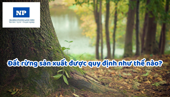 Đất rừng sản xuất được quy định như thế nào?