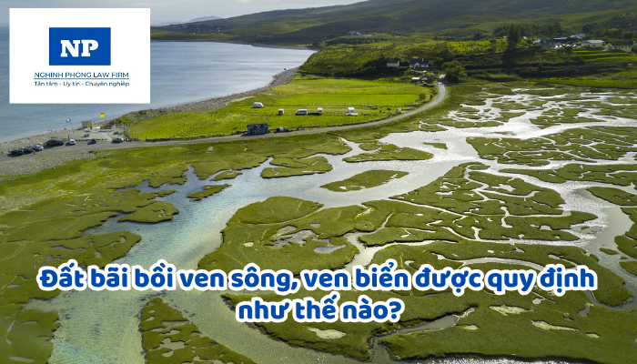Đất bãi bồi ven sông, ven biển được quy định như thế nào?