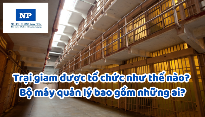 Trại giam được tổ chức như thế nào? Bộ máy quản lý bao gồm những ai?