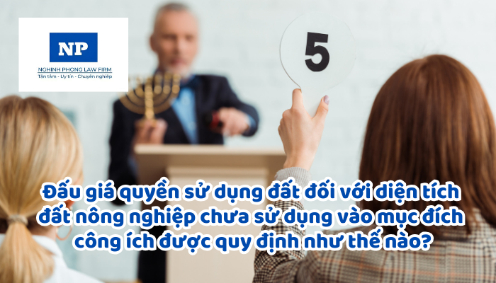 Đấu giá quyền sử dụng đất đối với diện tích đất nông nghiệp chưa sử dụng vào mục đích công ích được quy định như thế nào?