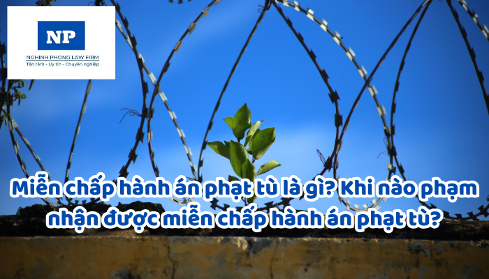 Miễn chấp hành án phạt tù là gì? Khi nào phạm nhân được miễn chấp hành án phạt tù?