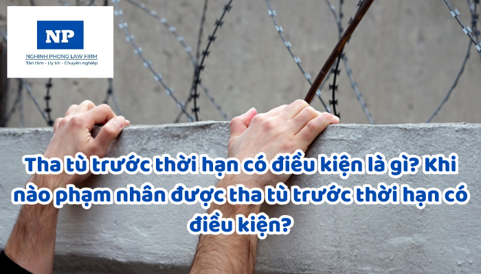 Tha tù trước thời hạn có điều kiện là gì? Khi nào phạm nhân được tha tù trước thời hạn có điều kiện?