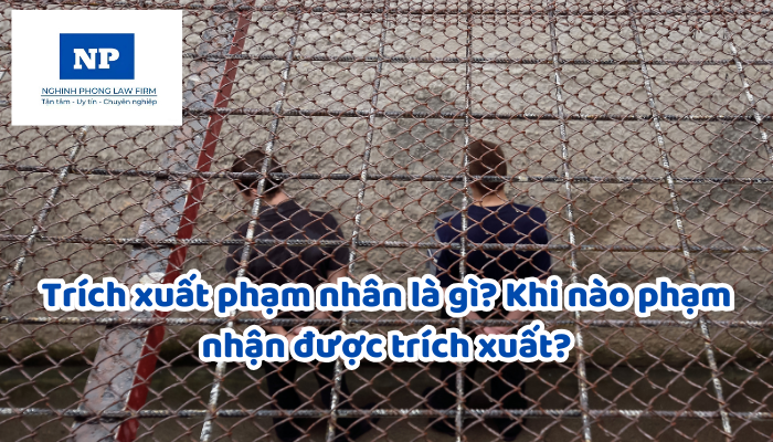 Trích xuất phạm nhân là gì? Khi nào phạm nhận được trích xuất?