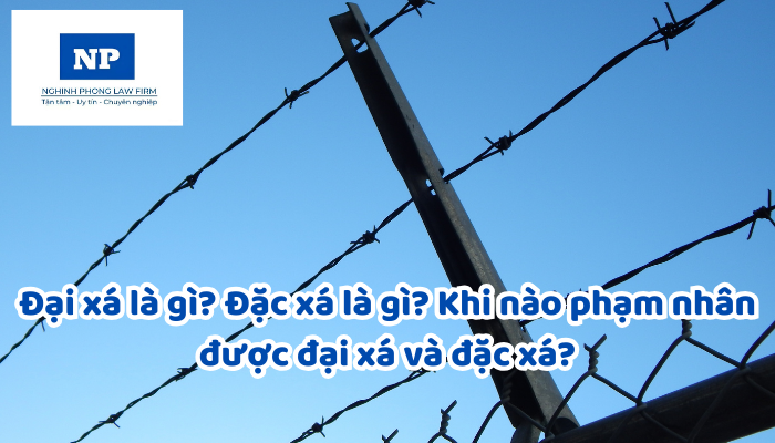 Đại xá là gì? Đặc xá là gì? Khi nào phạm nhân được đại xá và đặc xá?