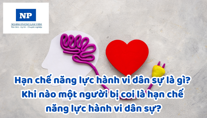 Hạn chế năng lực hành vi dân sự là gì? Khi nào một người bị coi là hạn chế năng lực hành vi dân sự?