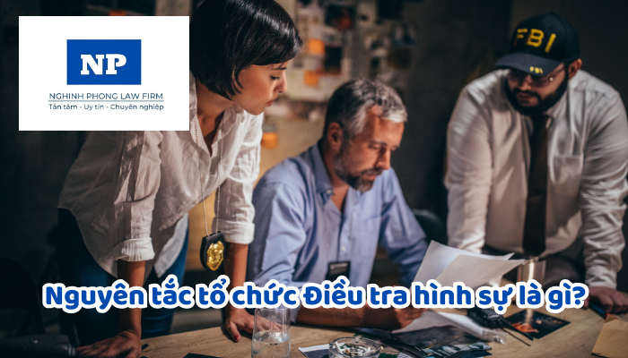 Nguyên tắc tổ chức Điều tra hình sự là gì? Người làm công tác Điều tra hình sự được hưởng những chế độ, chính sách nào?